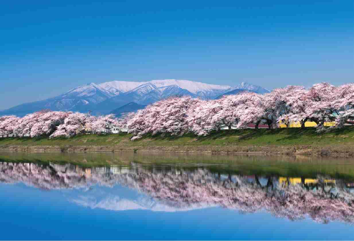 スライダー画像5