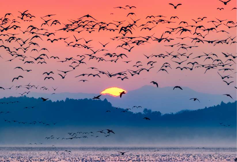 スライダー画像6