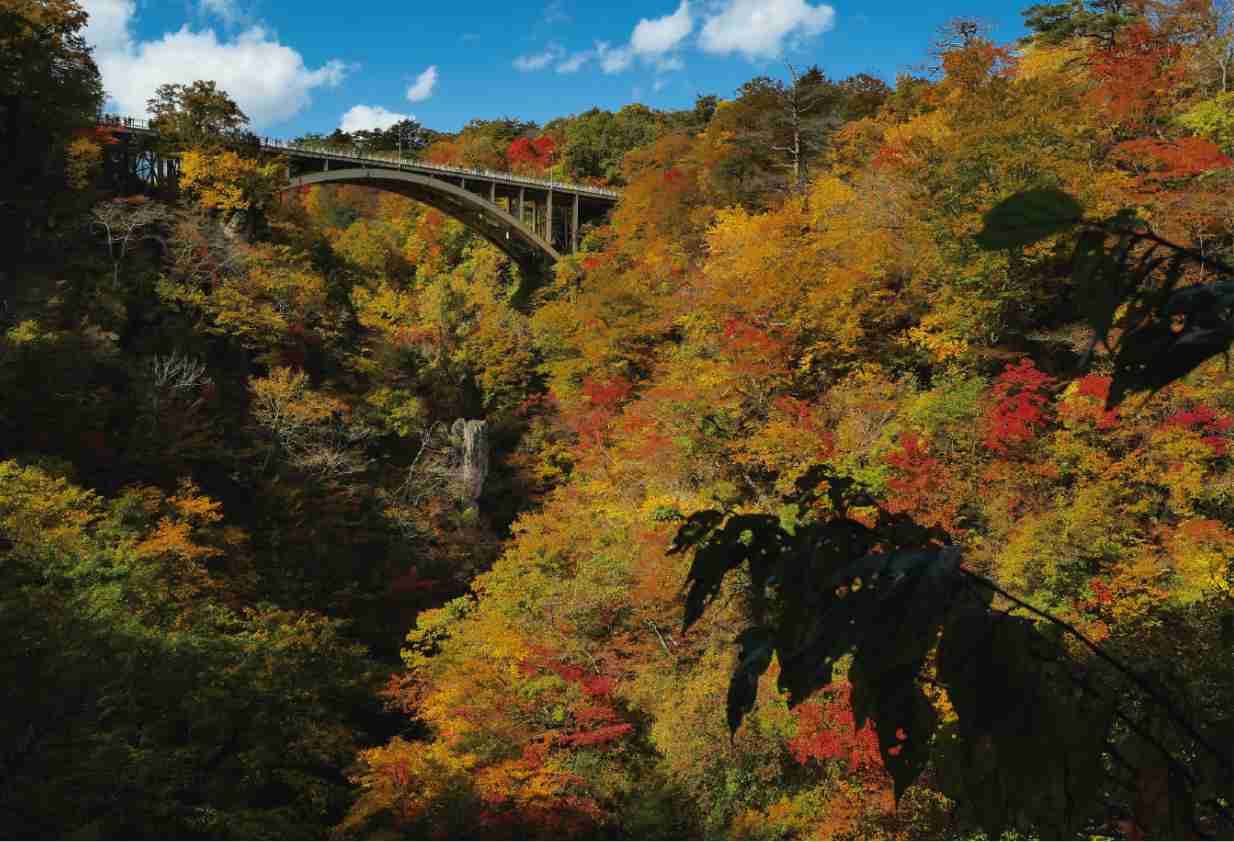 スライダー画像3